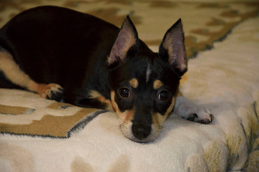 Из личного архива