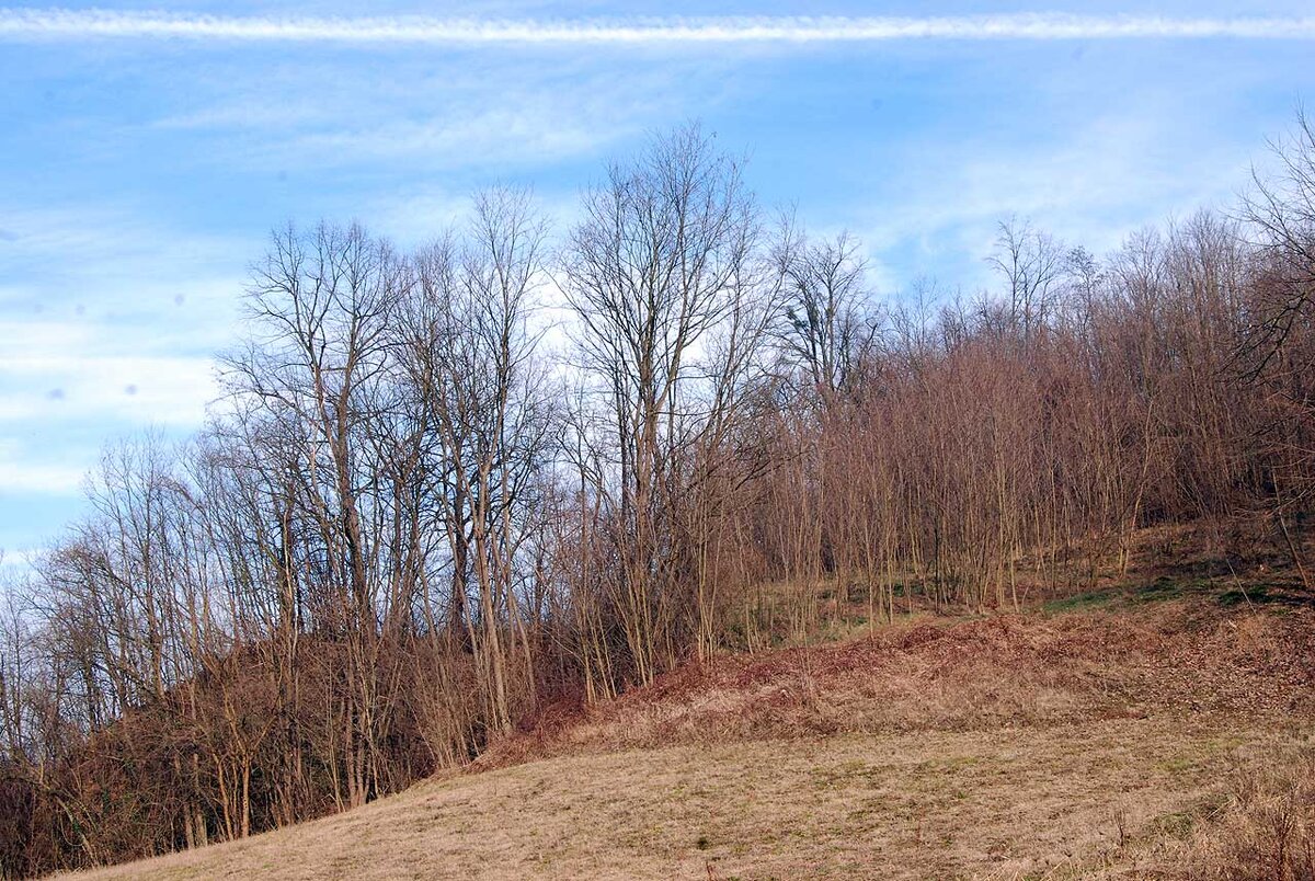 Пейзажи по дороге в село