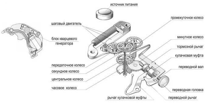 Составляющие части часов. Механизм кварцевых часов схема. Схема кварцевого механизма наручных часов. Электрическая схема кварцевых часов. Механизм кварцевых настенных часов схема.