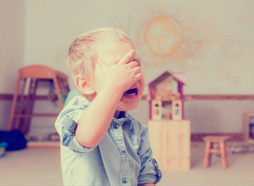 Фото из открытых источников "Яндекс Картинки"