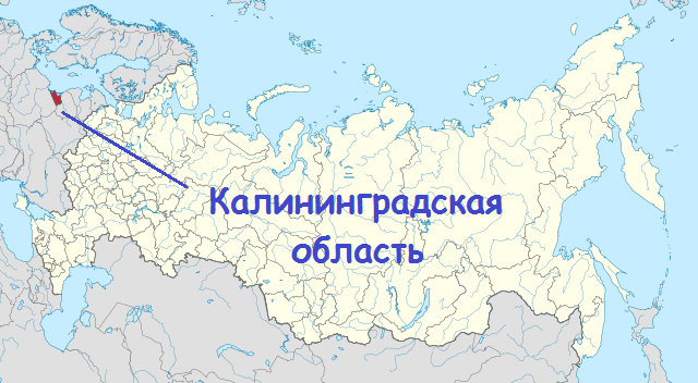 Дорогие  друзья, поддержите меня подпиской !