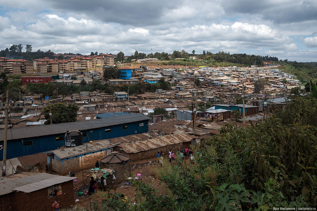 01. Сколько именно людей живёт в Кибере, определить практически невозможно. Государственные переписчики если и заглядывают сюда, то для галочки, а у каждой международной организации свои приблизительные оценки.
