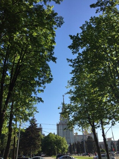 Москва, МГУ. Фото автора