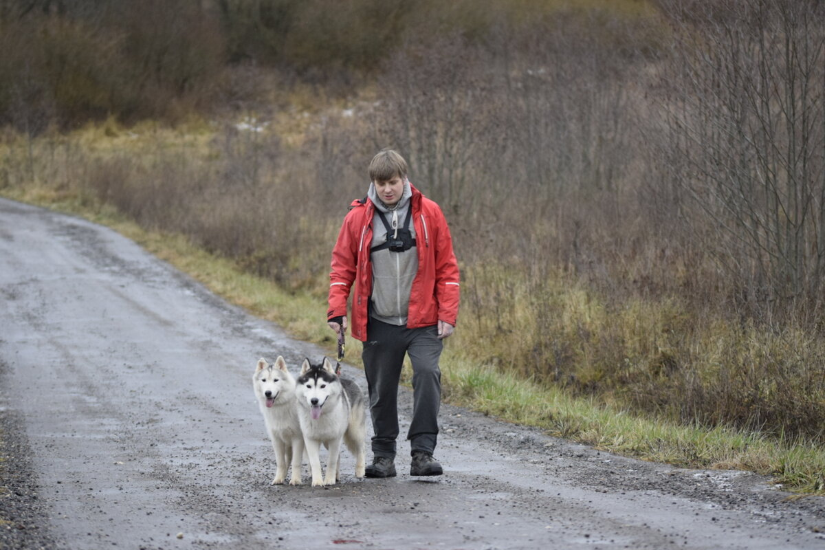 Два демона которые вертели всю теорию доминирования. 