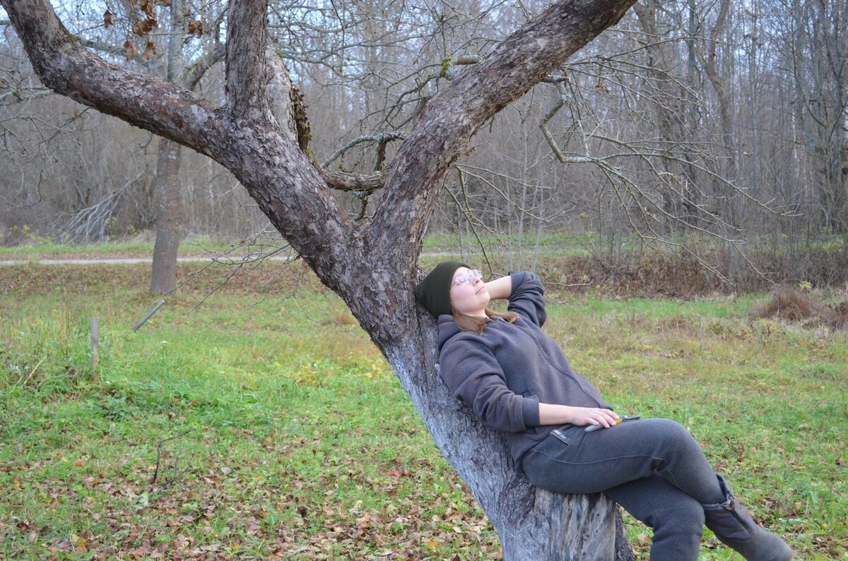 В ноябре у меня вот так выглядит сад.