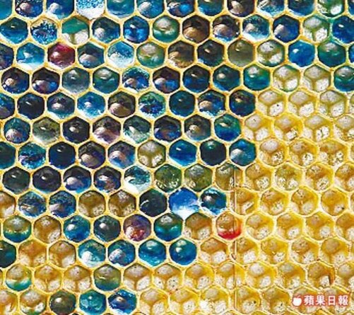 Источник изображения: xuite.net 