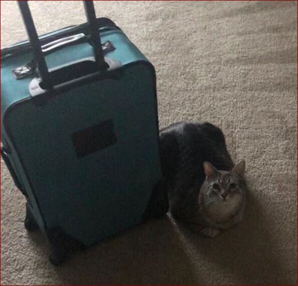 источник: Instagram.com