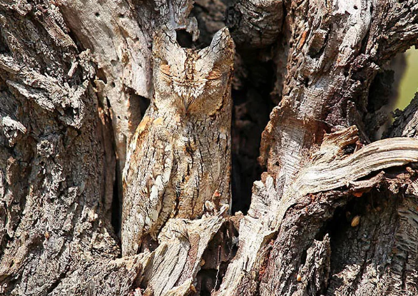 но другой мир существует...