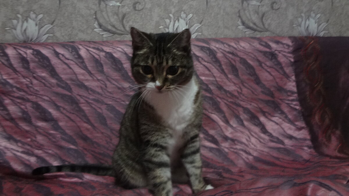 Барабашка, муахаха...