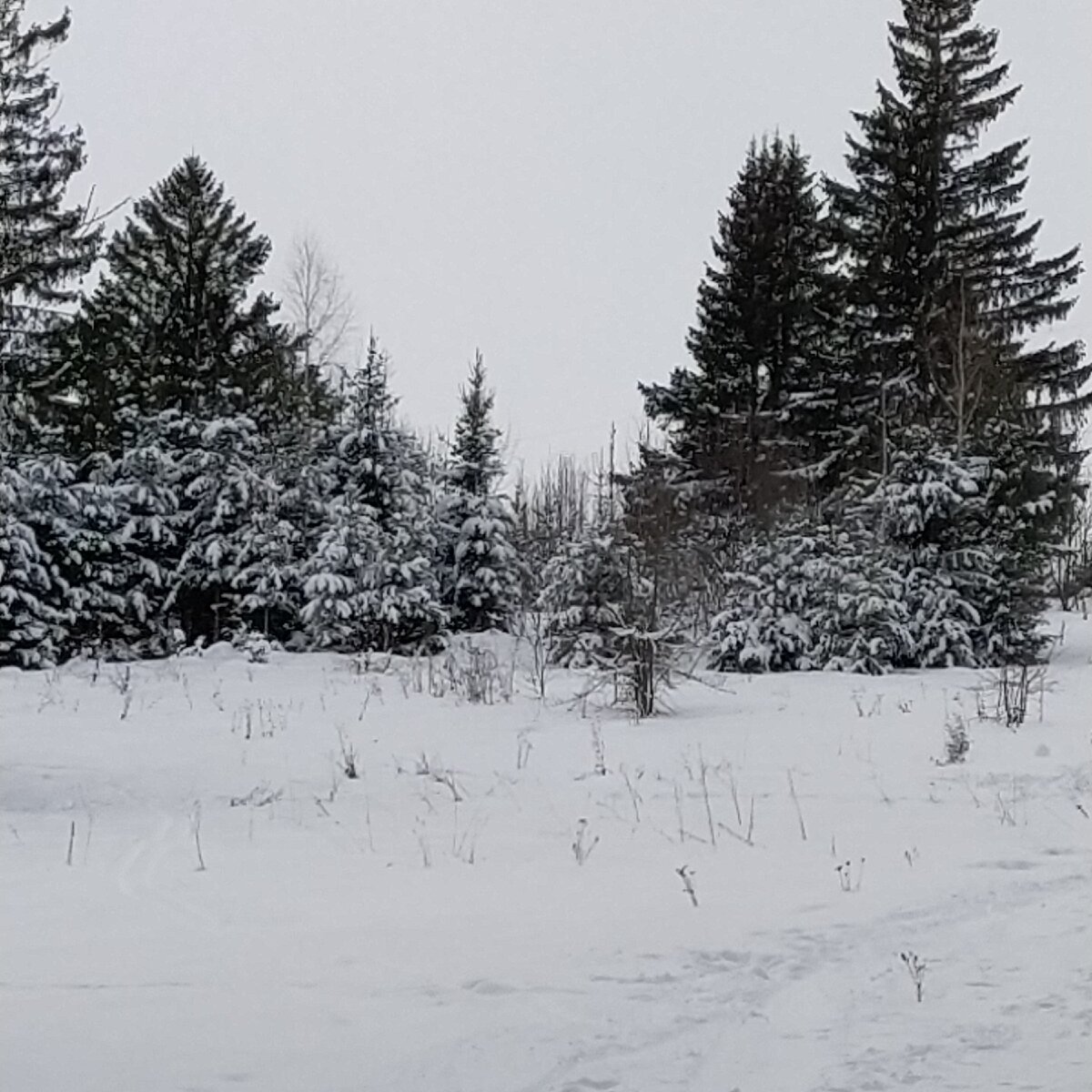 Фото из личного архива