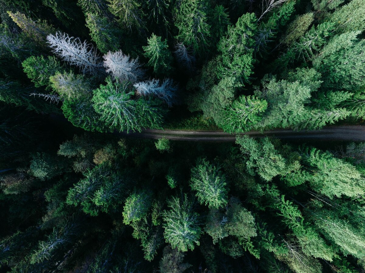 Foto b  https://unsplash.com/@gerandeklerk