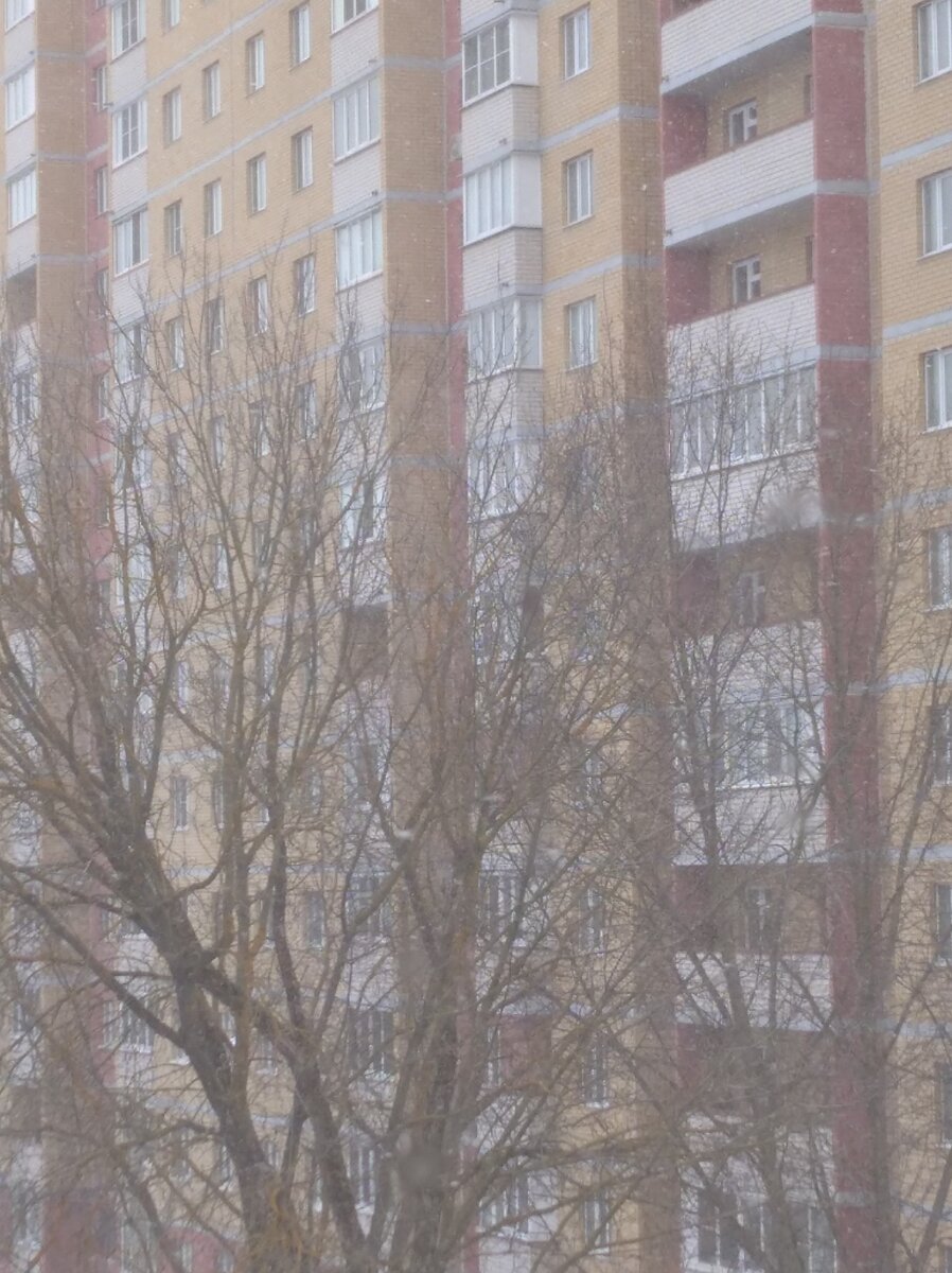 Личное фото.