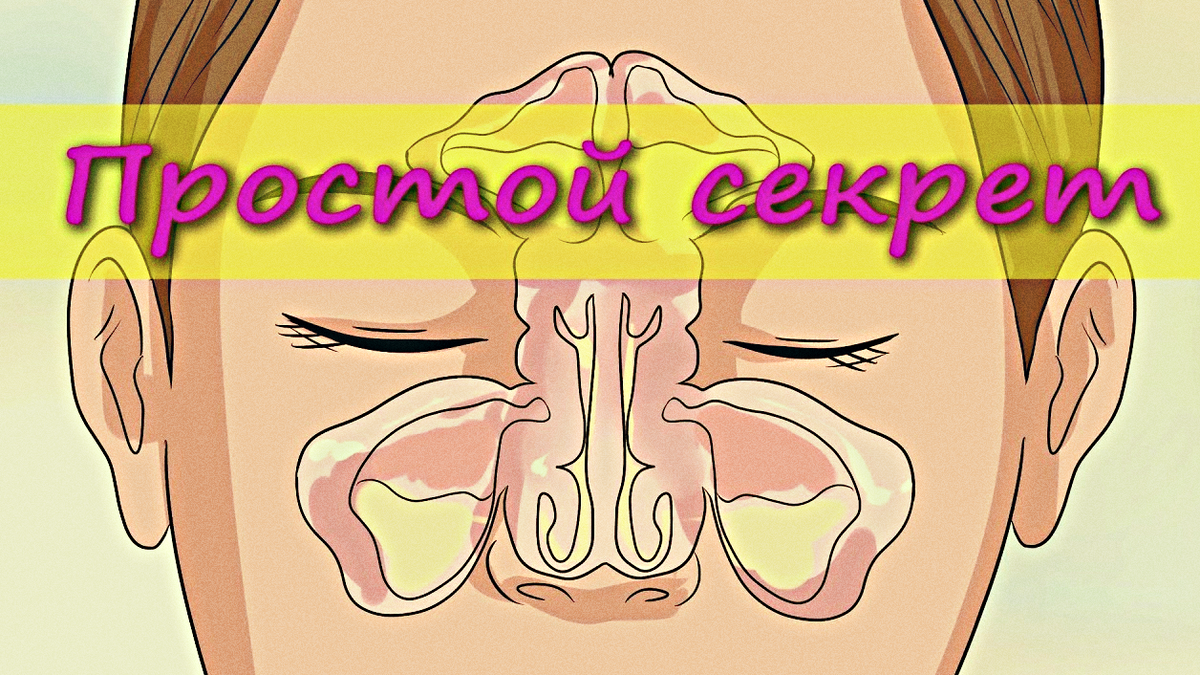 Слизь в носоглотке у взрослого. Скапливание слизи в горле. Густые сопли в носоглотке. Лечение слизи в носу