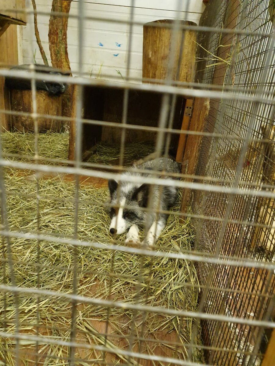 Изображение из личного фотоархива.