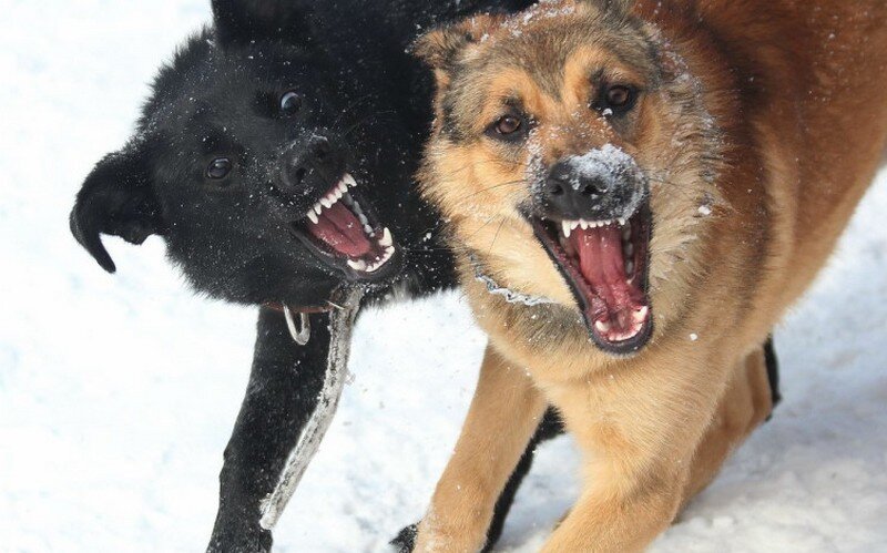 Взято с Яндекс.Картинки