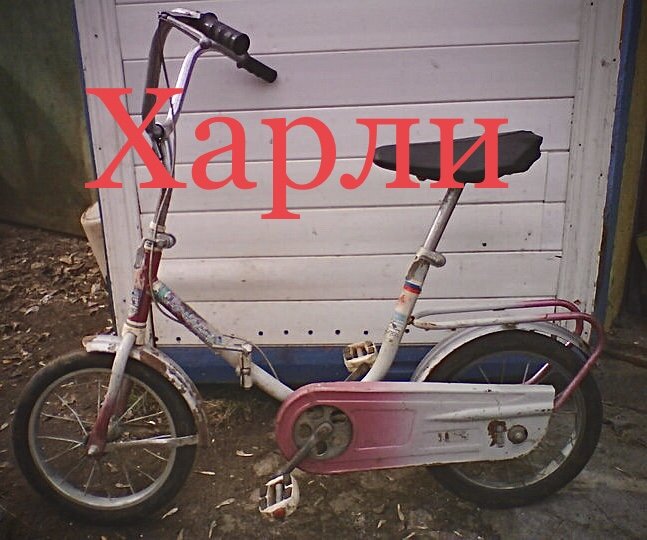 дружок Харли