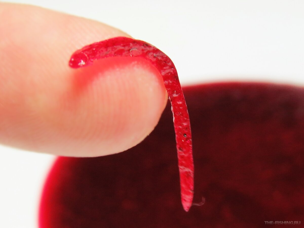 Почти настоящий мотыль