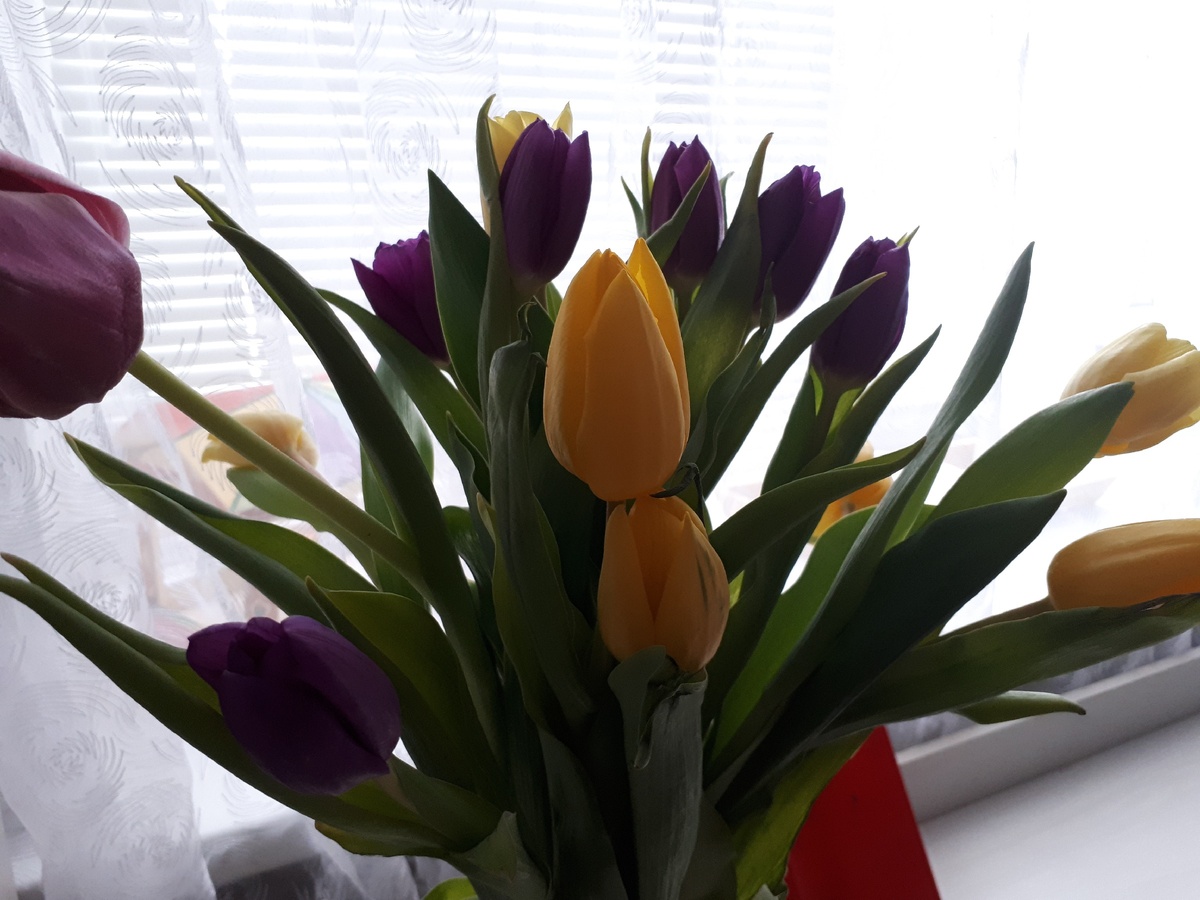 С международным женским днём 8 марта!