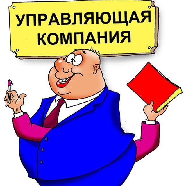 Фото из интернета