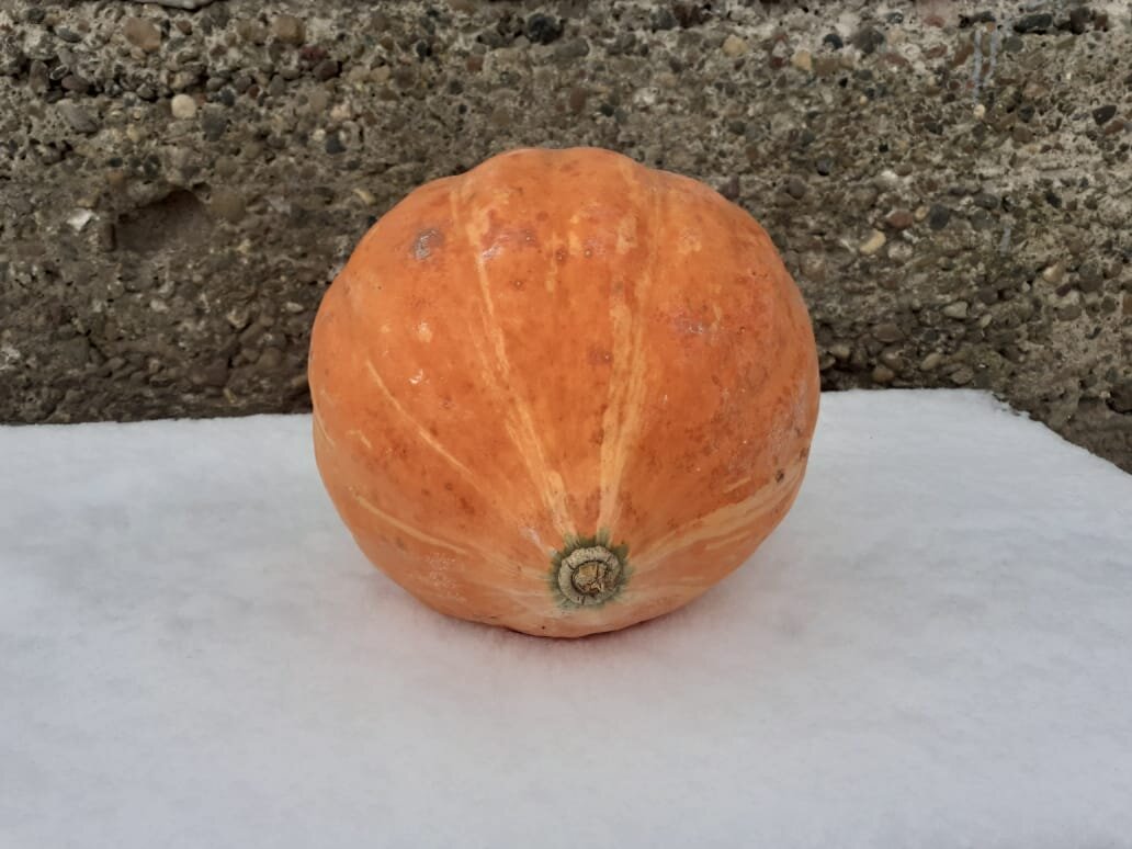 Прошлогодний урожай