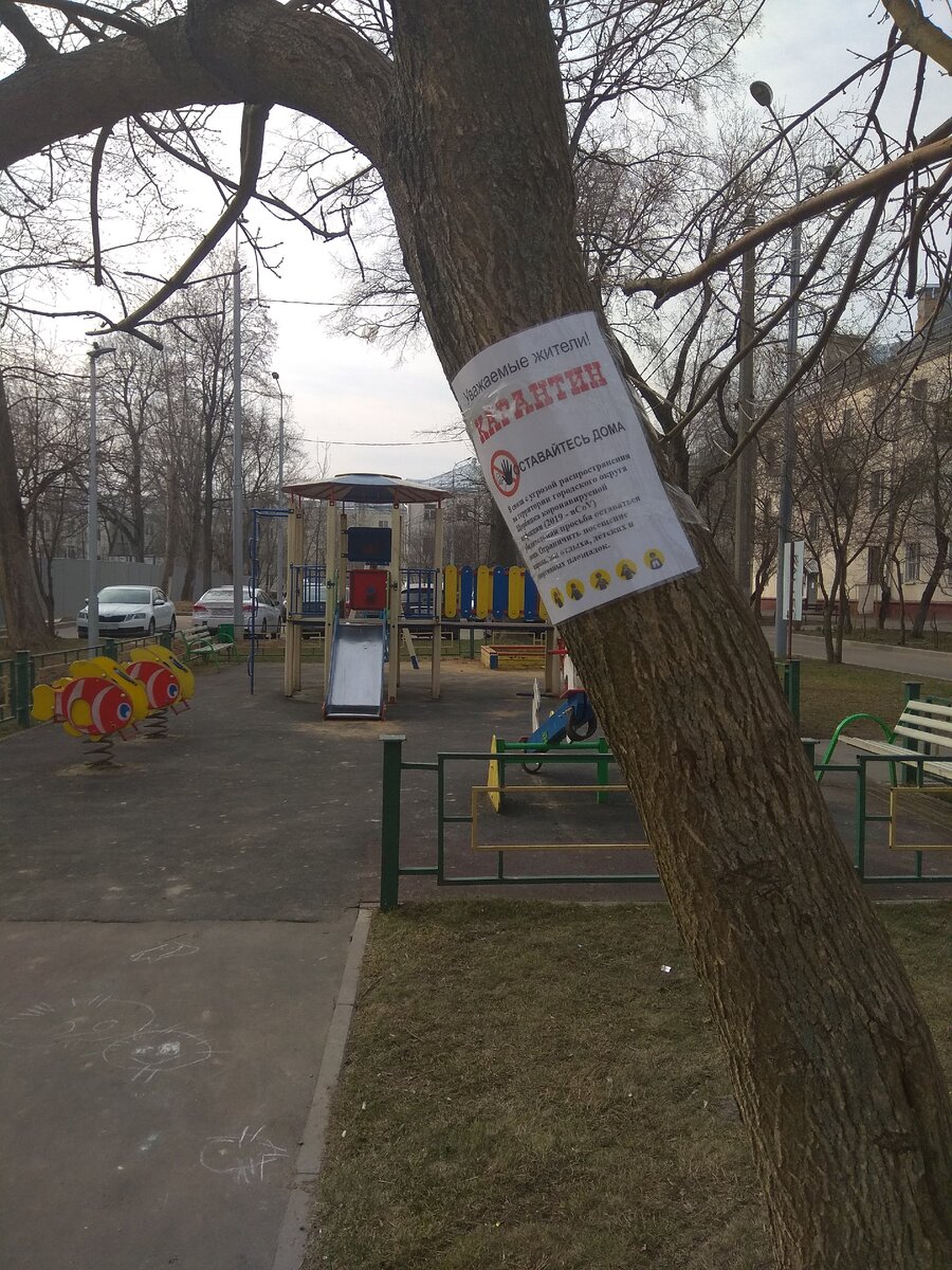 Объявление на детской площадке. Фото мое
