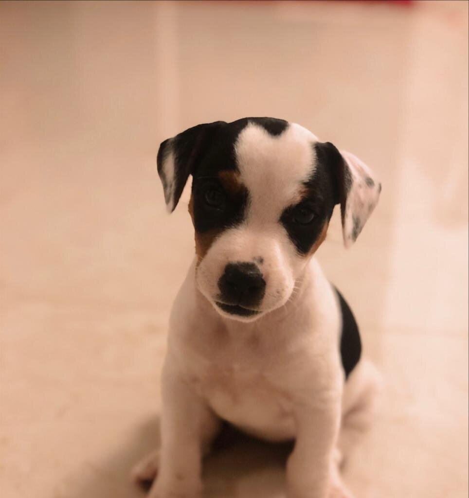 Фото: instagram: just_like_mia