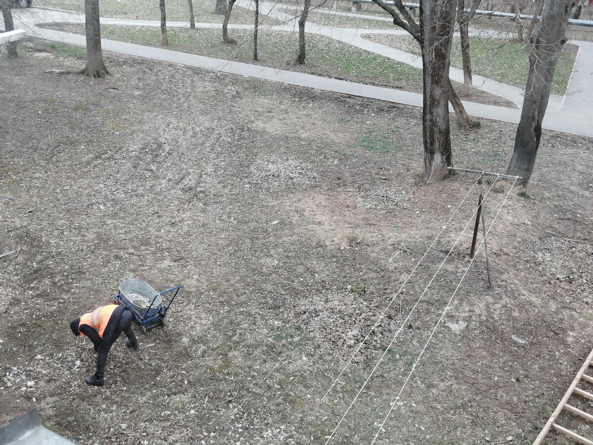 Дворник собирает камни с газонов. Зачем? Фото Светы Давыдовой