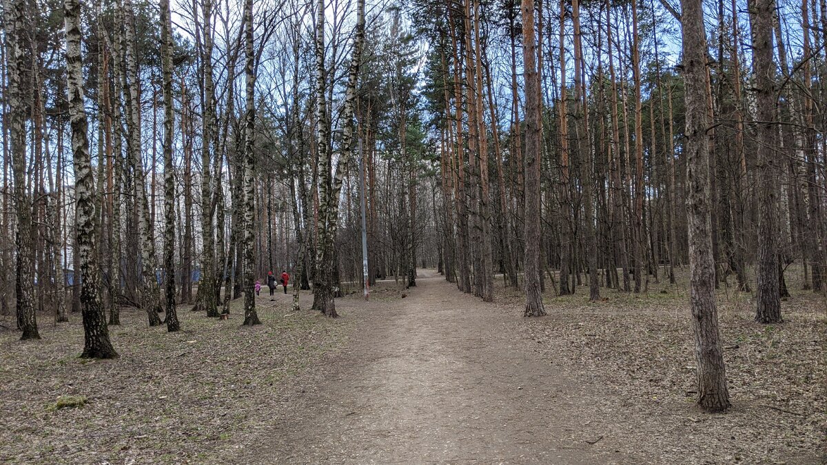 В парке. Листайте - много атмосферных сегодняшних фото