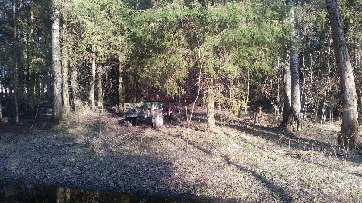 автор фото Александр 🛠