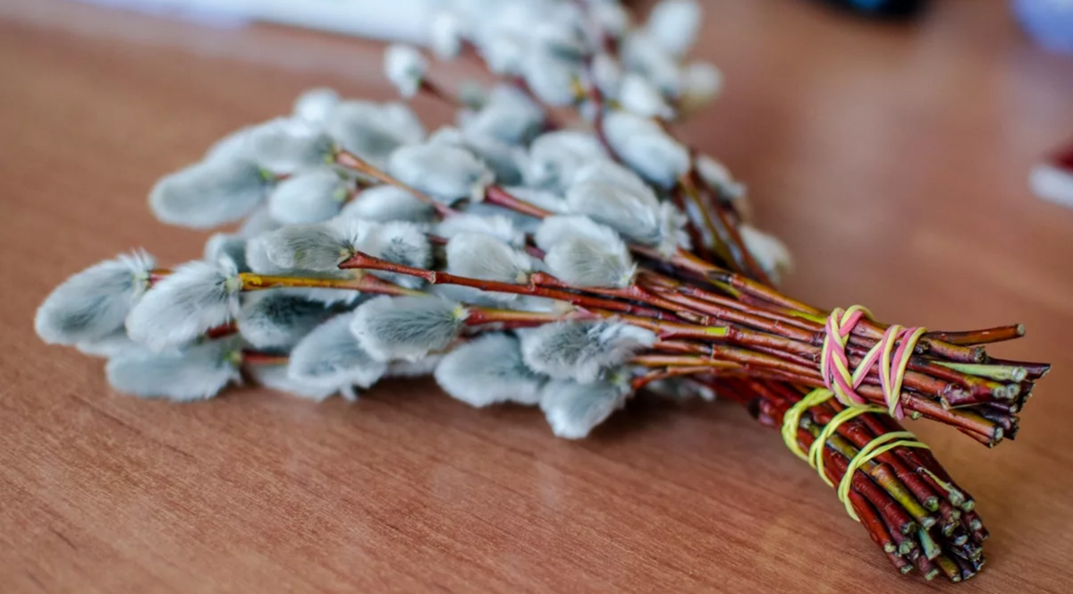 Источник: Яндекс