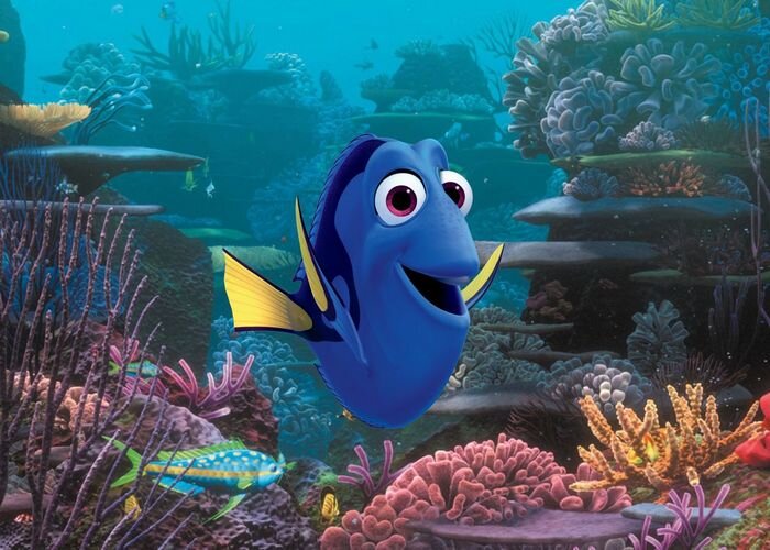 Кадр из мультфильма «Finding Dory».