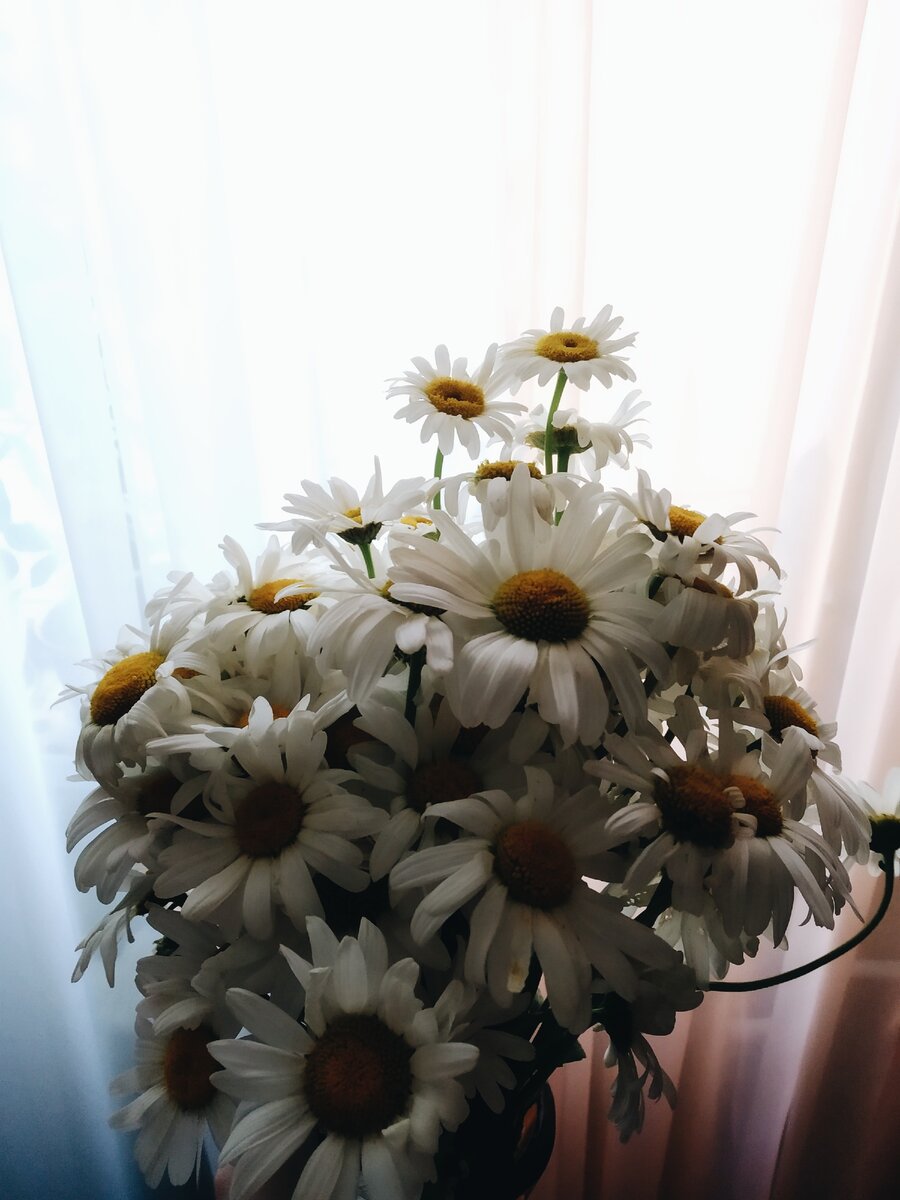                                                                     💛