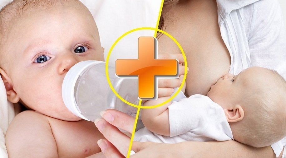 https://avatars.mds.yandex.net/get-zen_doc/99101/pub_5ac26b245816697b783aef37_5ac27f4557906a1b175ed9b2/scale_1200
