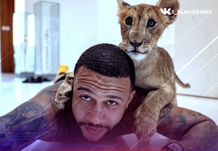 Как сообщает Don Balon «Барса» заинтересовалась Депаем его трансферная стоимость оценивается примерно в 35 млн евро.