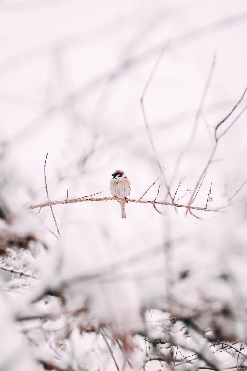 Photo by Christian Søgaard on Unsplash