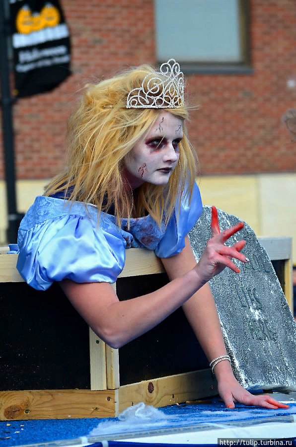 Картинка с просторов интернета