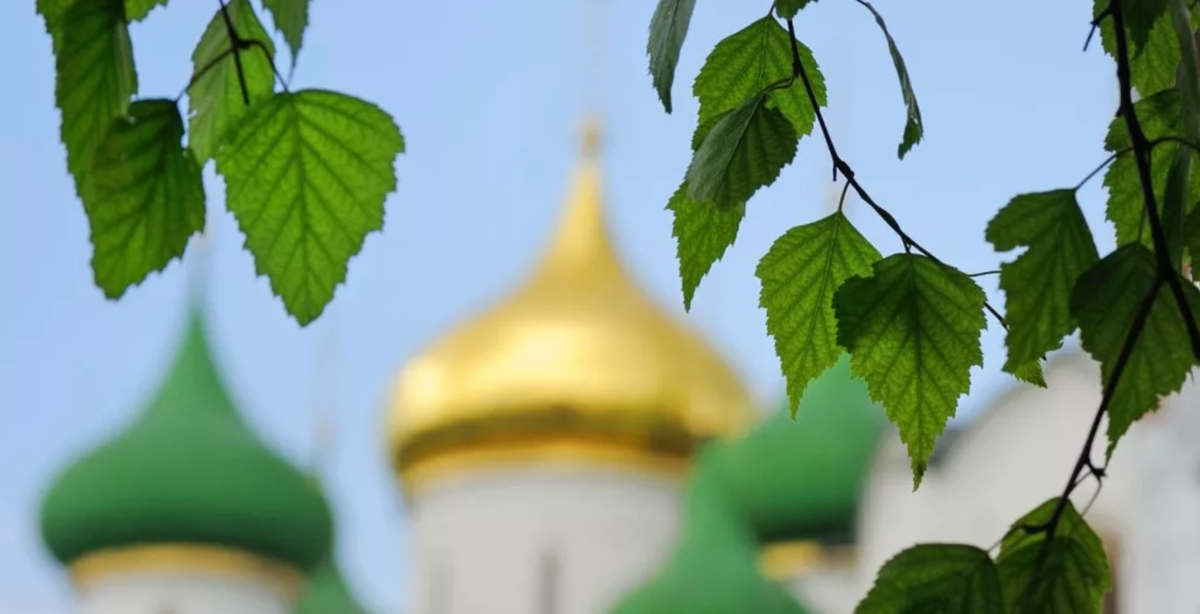 Зеленый цвет символизирует праздник Святая Троица. Священники надевают праздничные зеленые одеяния, а церковь украшают веточками березы и другой молодой летней зелени. Источник: Яндекс