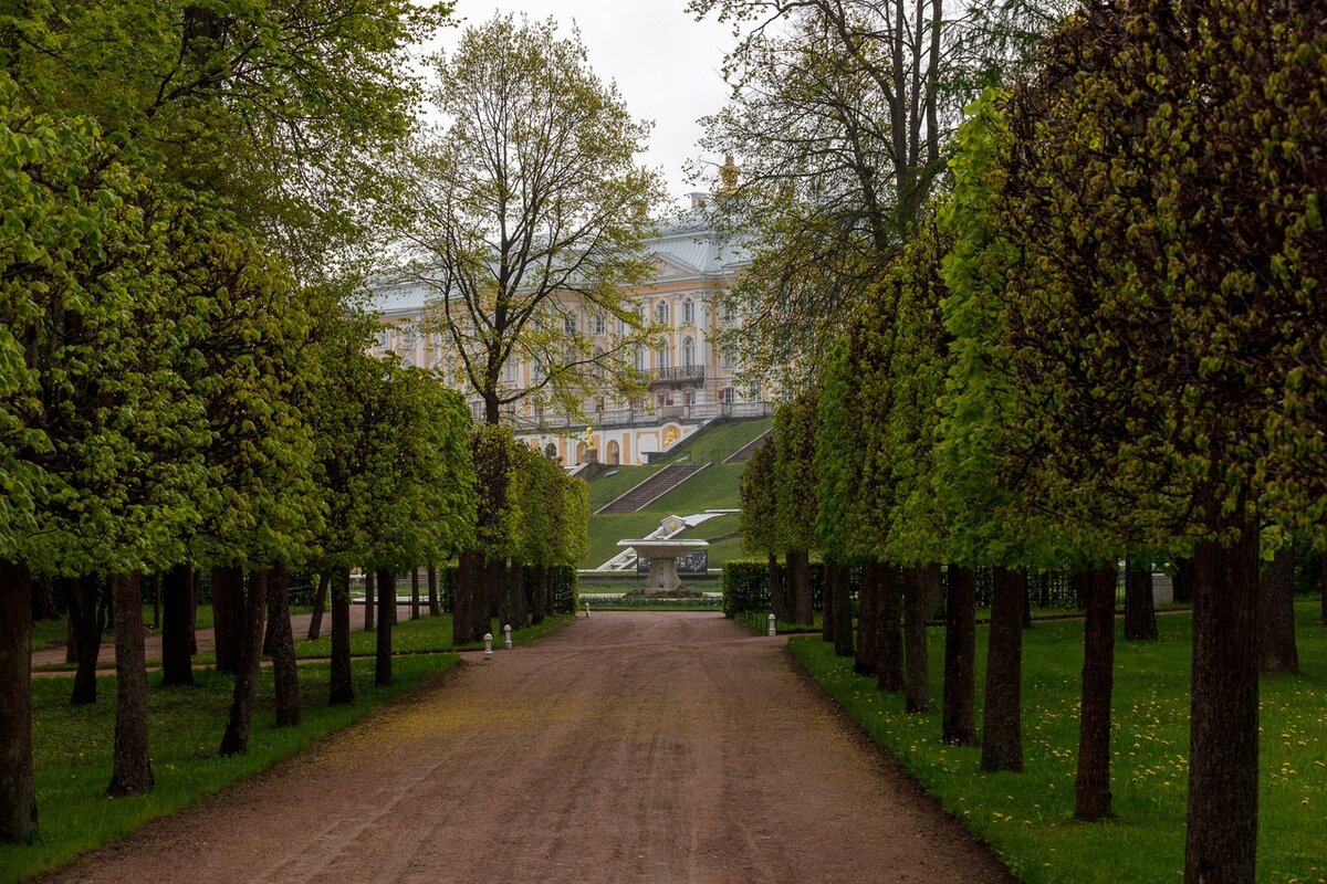 парка петергоф