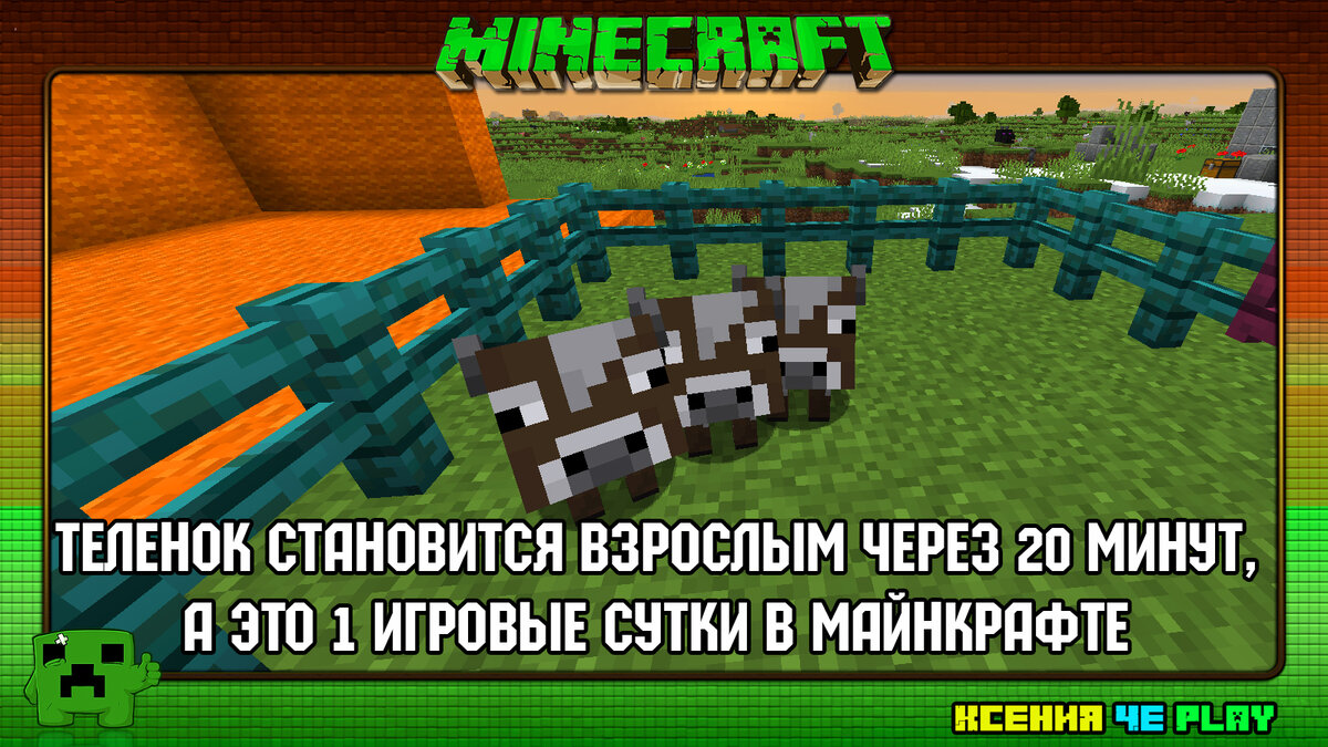 ⇝Полезные факты о Minecraft в картинках ✌ | Ксения Че Play. Канал о  Майнкрафт | Дзен