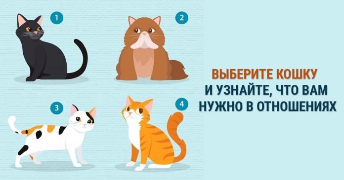 Тест по картинке
