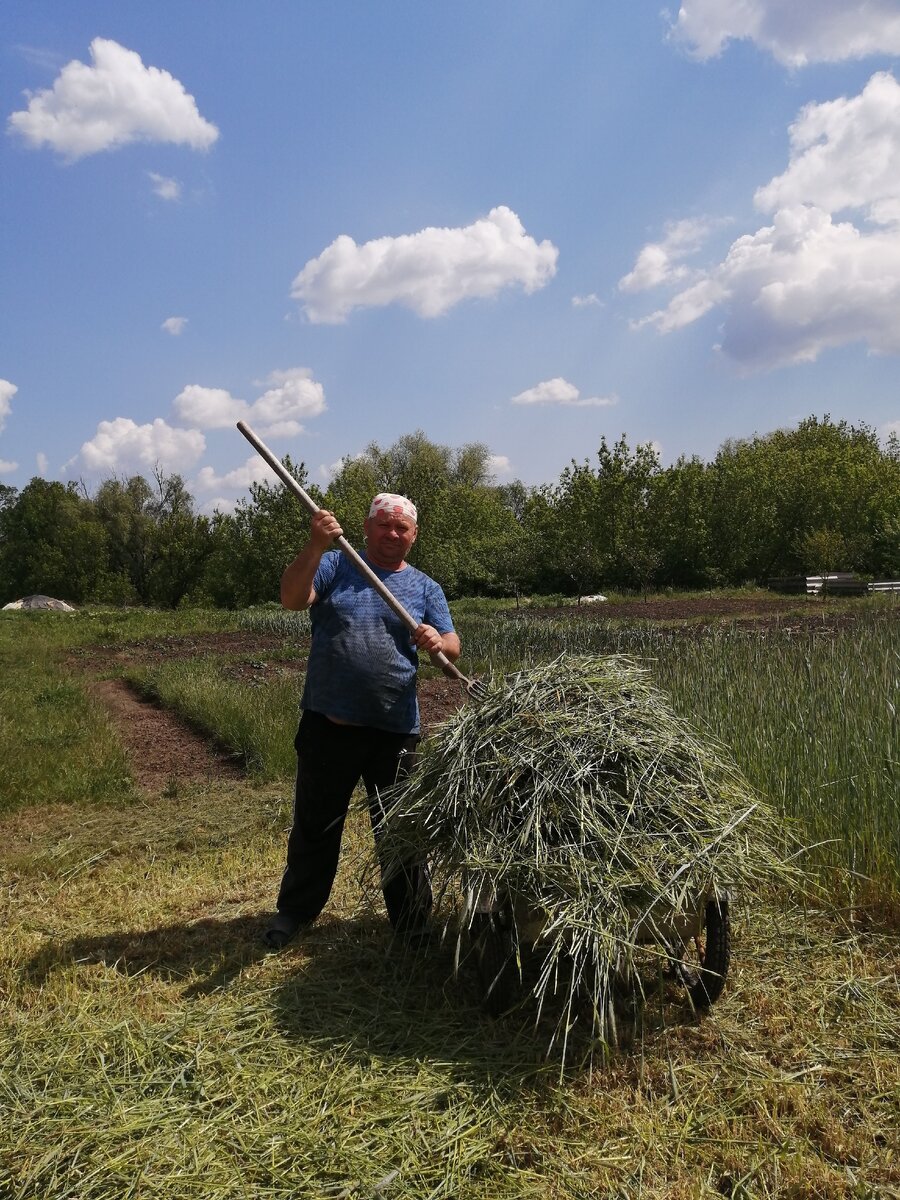 Мой папа за работой в огороде. 