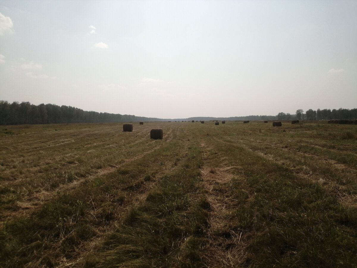 Конца и края не видать!