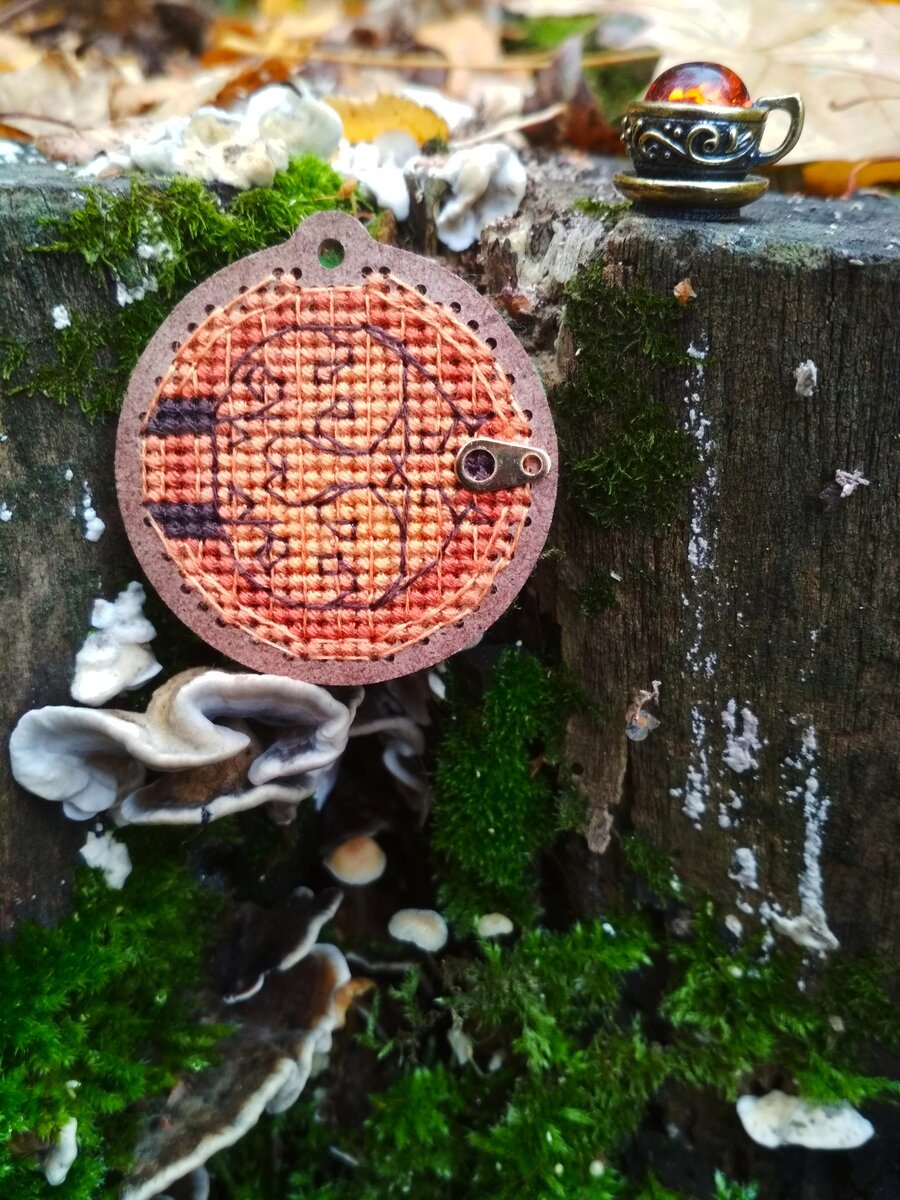 Фото взято у автора в группе "Дивная вишня" ВКонтакте