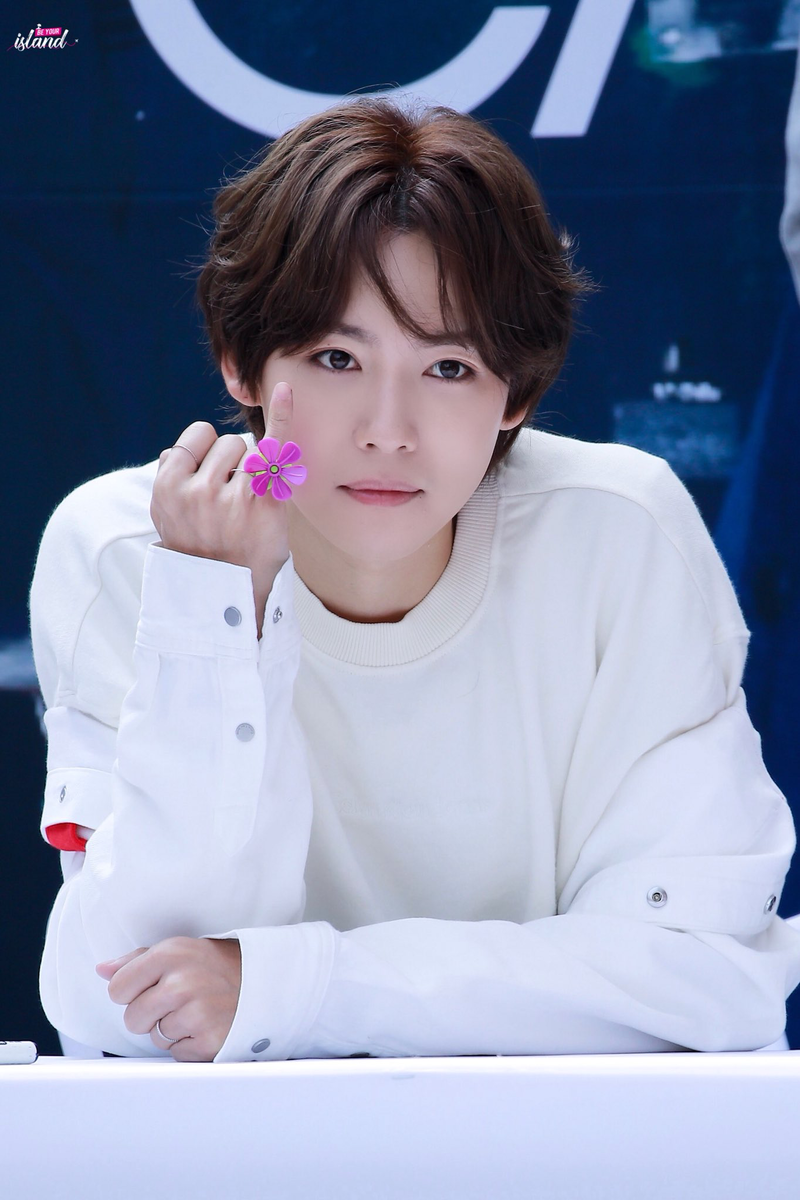 Яндекс картинки 