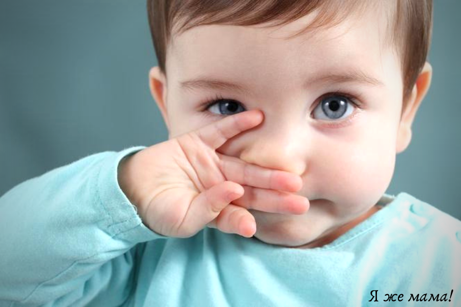 Яндекс.Картинки