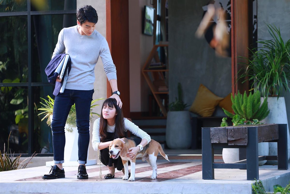 Изображение из свободных источников сети Интернет