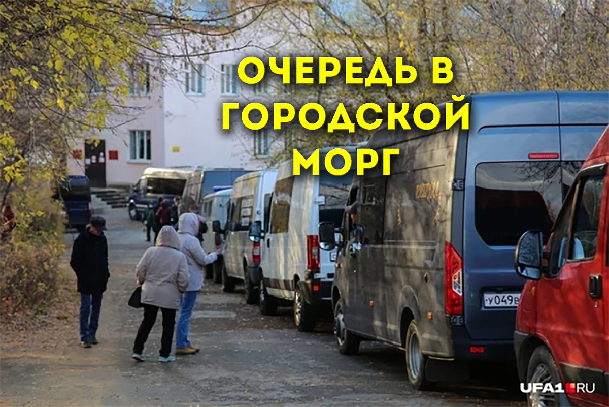 фото Тимур Шарипкулов. Источник Уфа1.ру