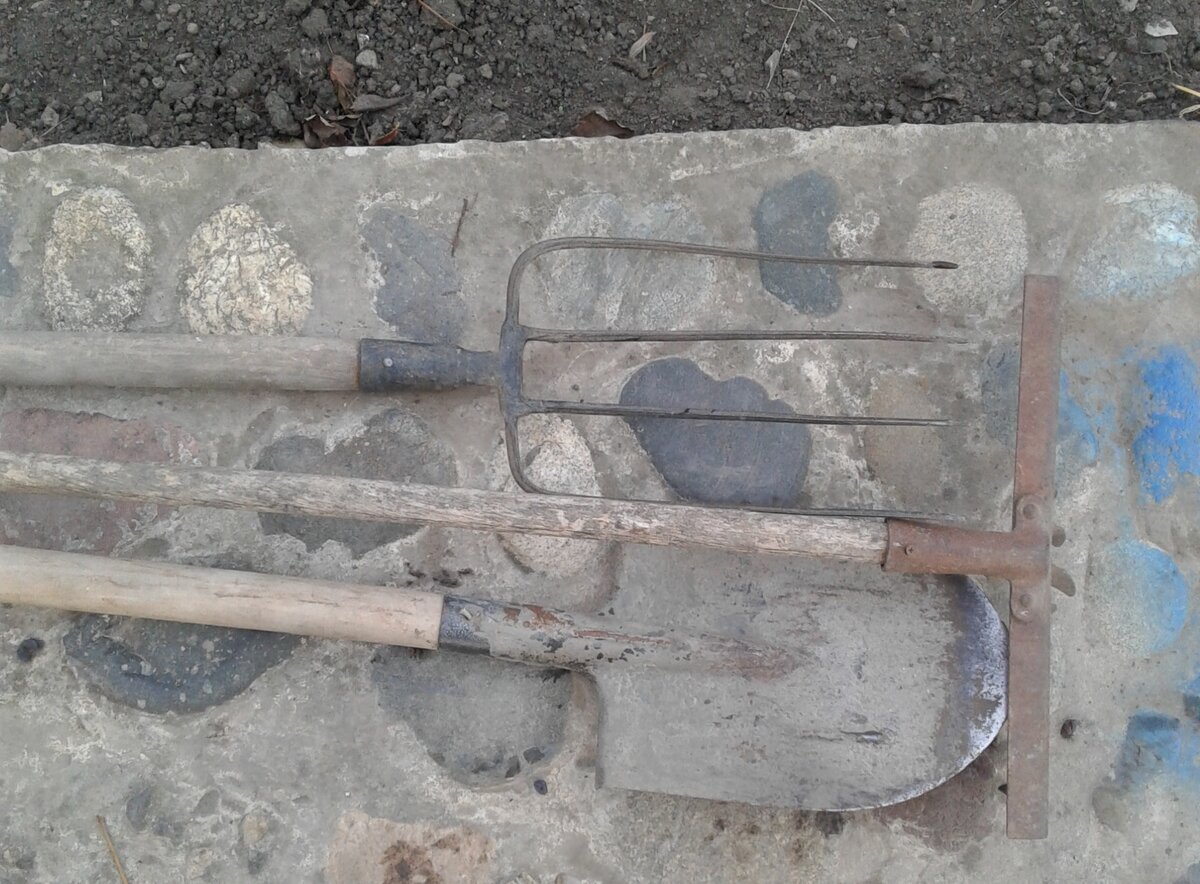 Сразу видно, что на лопате и вилах для копки черенки новые