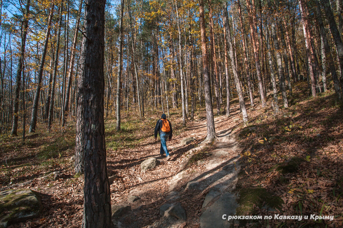 Планческие скалы, Северский район. Фото автора