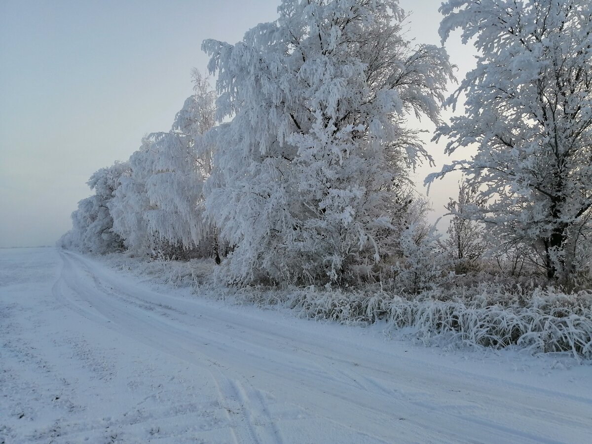 Личное фото